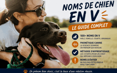 Noms de chien en V : 100+ idées conseillées par une éducatrice
